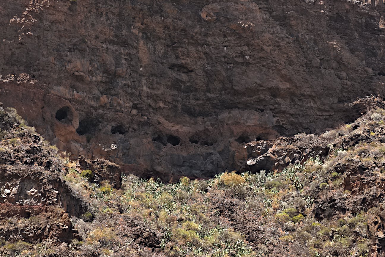 Click for the gallery page to add comments and vote (PID:263319) Guayadeque Valley