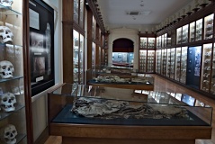 Museo Canario