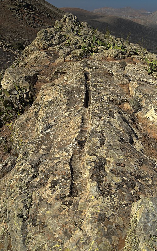 Click for full size image of Quesera Guardilama (PID:123893) Quesera Guardilama