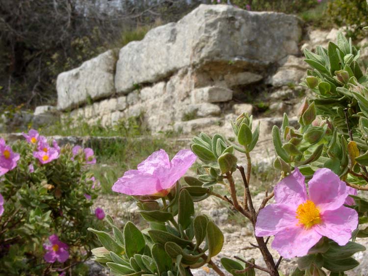 Click for full size image of Barbegal Mill and Aquaduct (PID:33494) Barbegal Mill and Aquaduct
