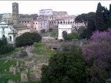 Rome. Colloseum - PID:14078
