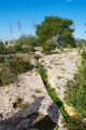 Cisterna Romana Capo S. Elia - PID:115946