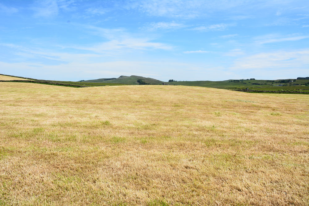 Click for the gallery page to add comments and vote (PID:198994) Aesica Vallum Round Barrow