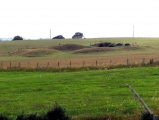 Charterhouse Earthwork - PID:61877