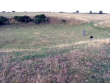 Charterhouse Earthwork - PID:61879