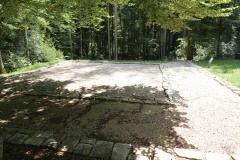Roman temple district Petinesca