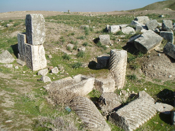 Apamea