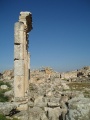 Apamea