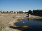 Bosra