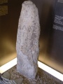Click for full size image of Segontium (PID:13629) Segontium