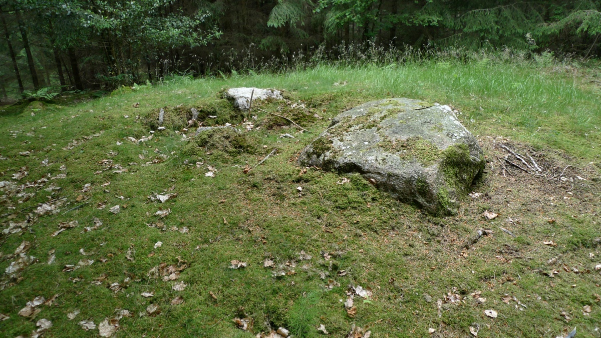 Rinkenæs Skov Runddysse