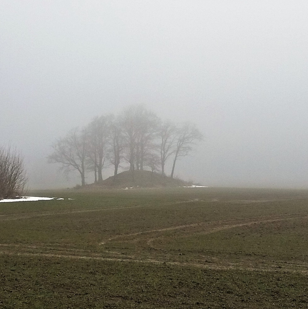 Click for the gallery page to add comments and vote (PID:179988) Store Bukkegård Rundhøj