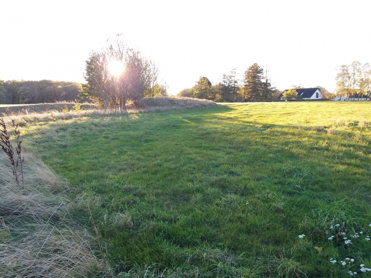 Click for the gallery page to add comments and vote (PID:241269) Olsker Gravrøse