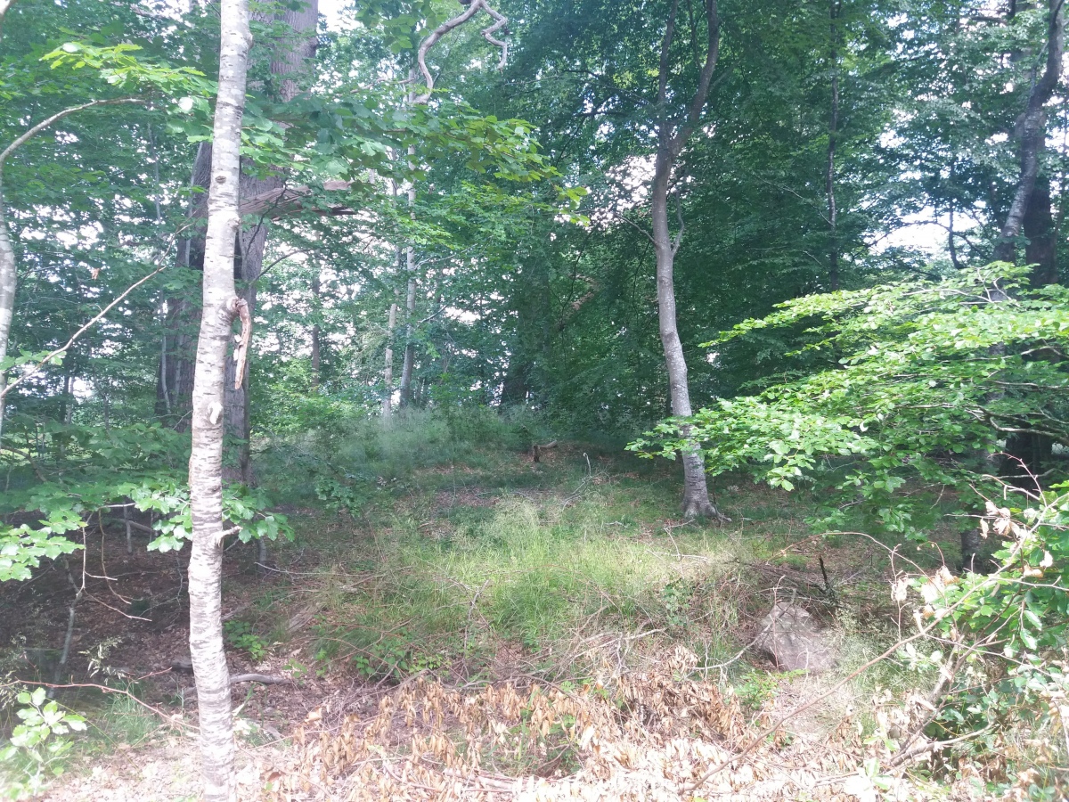 Click for the gallery page to add comments and vote (PID:221433) Strandegård dyrehave Rundhøj Nord