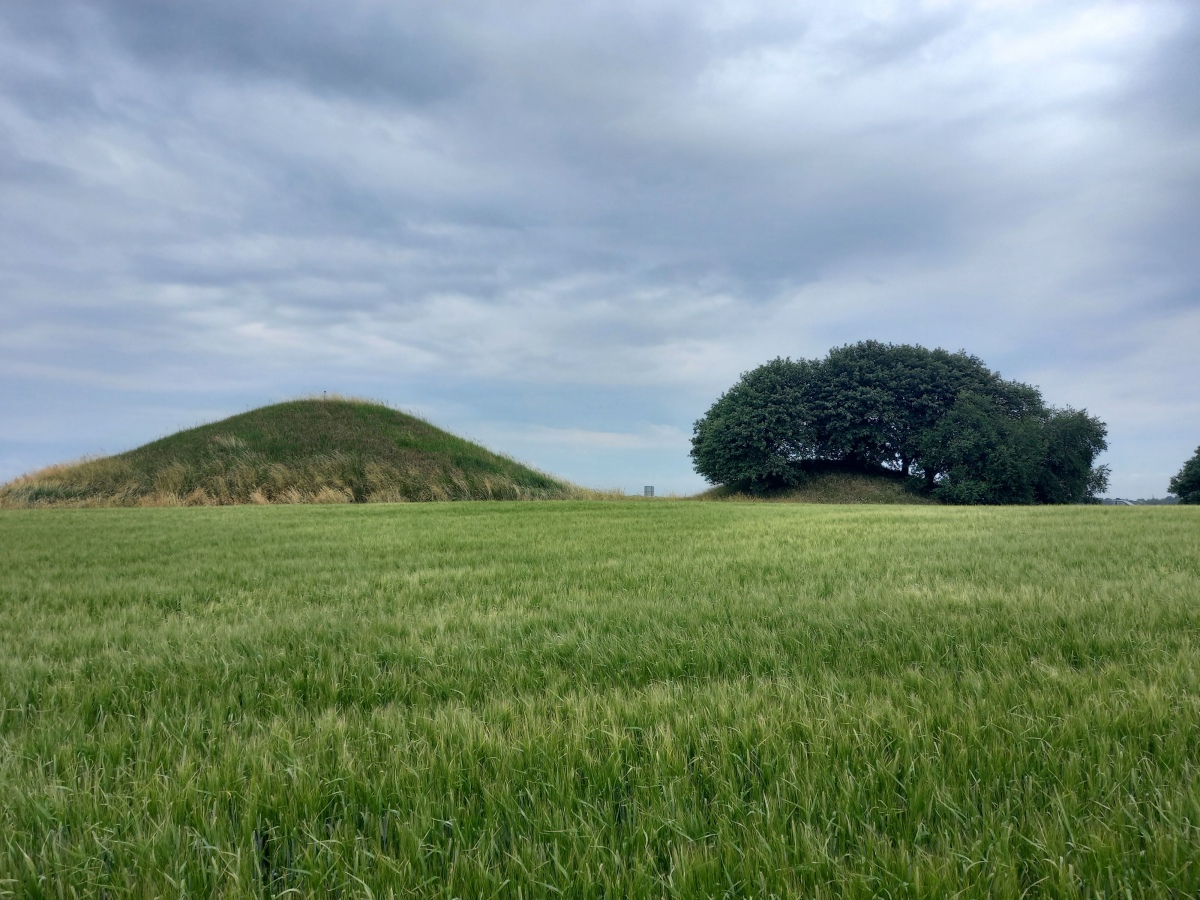 Click for the gallery page to add comments and vote (PID:228673) Slagelsehøje