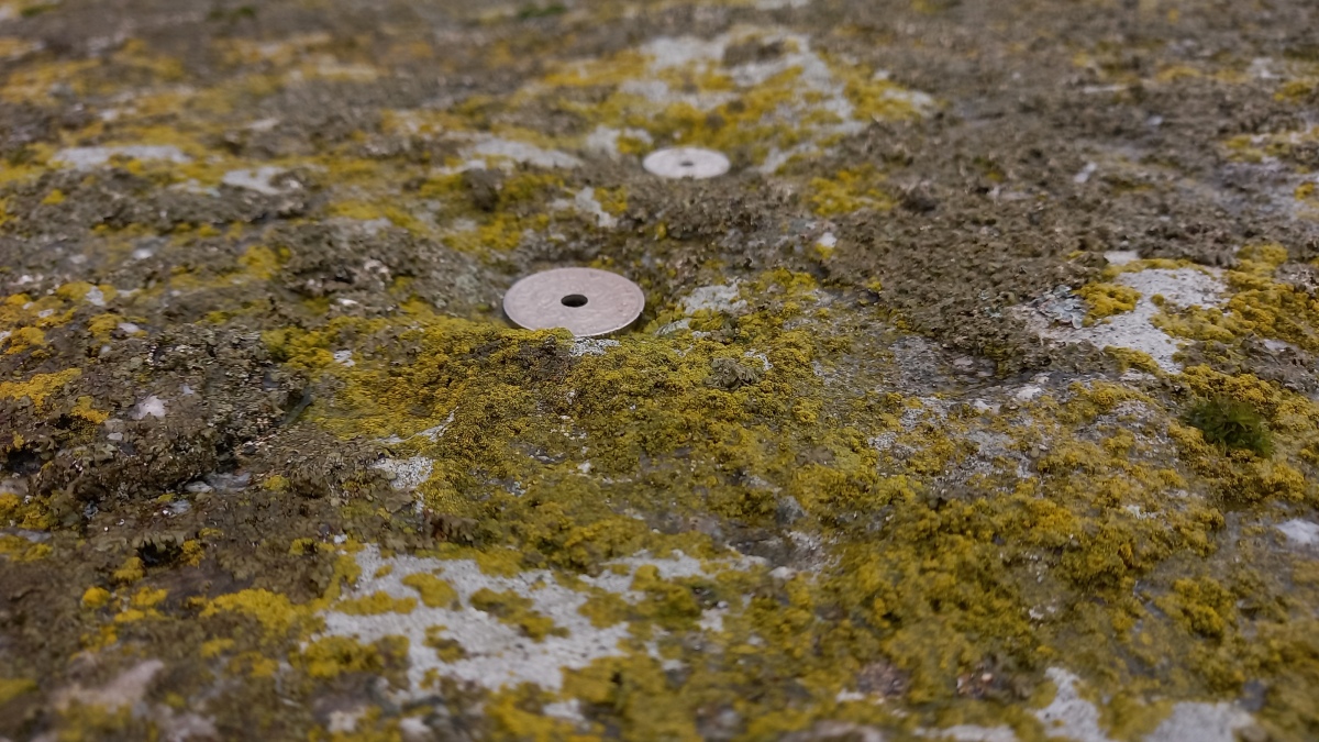 Joachim Henkel and Henning Prøhl documented 25 cup-marks on the capstone in 2014, and 8 more that are so weathered that they are not sure if they are real cup-marks or not. 
Unfortunately, due to the weathering of the stone and the moss and lichen growth, I could not find all the cup marks, but many were clearly visible.

Photo by Bøddel 17/03-2022
