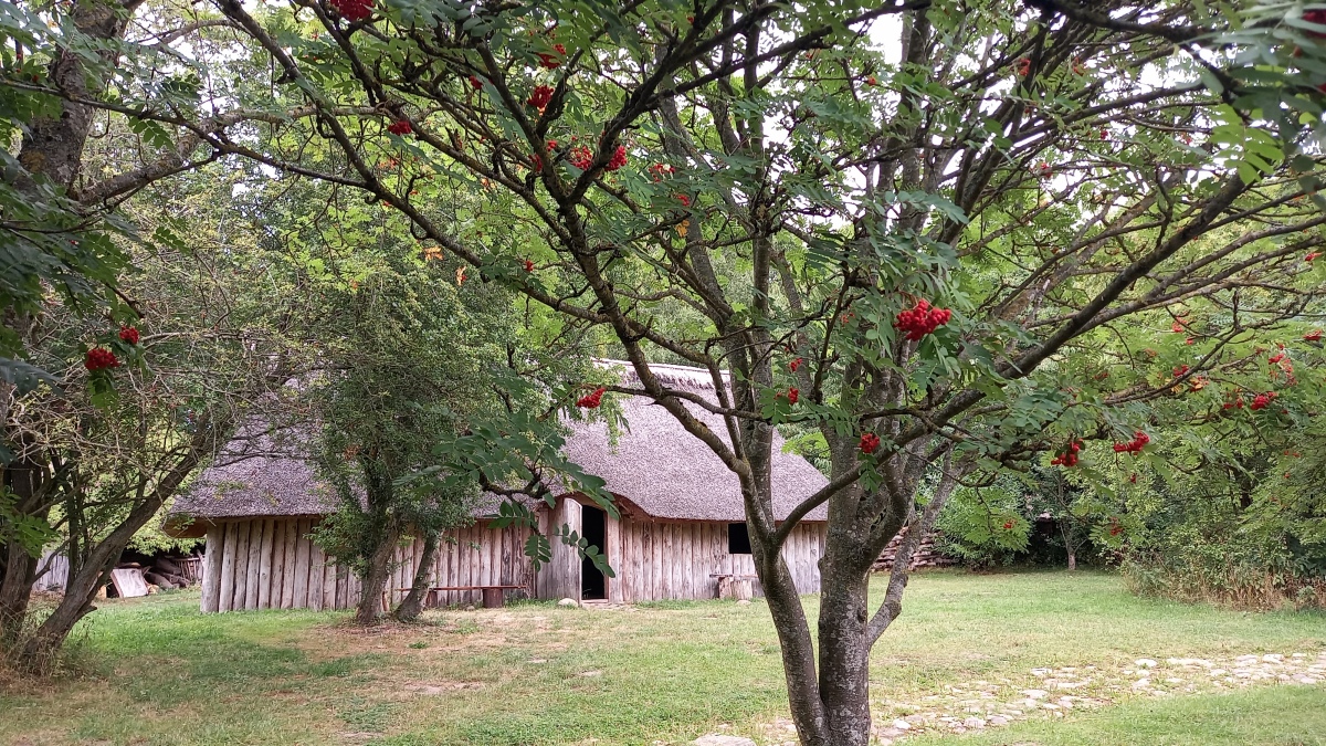 Jernalderlandsbyen Odins Odense