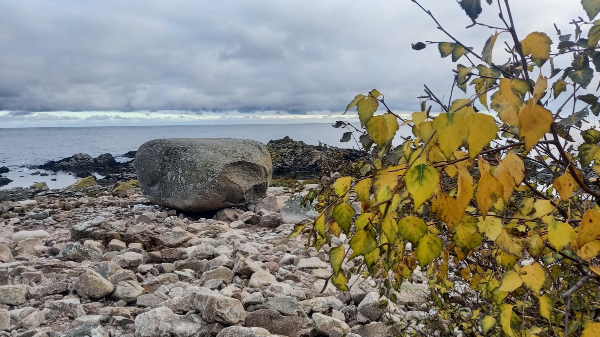 Click for the gallery page to add comments and vote (PID:266193) Æggehønen Sagnsten