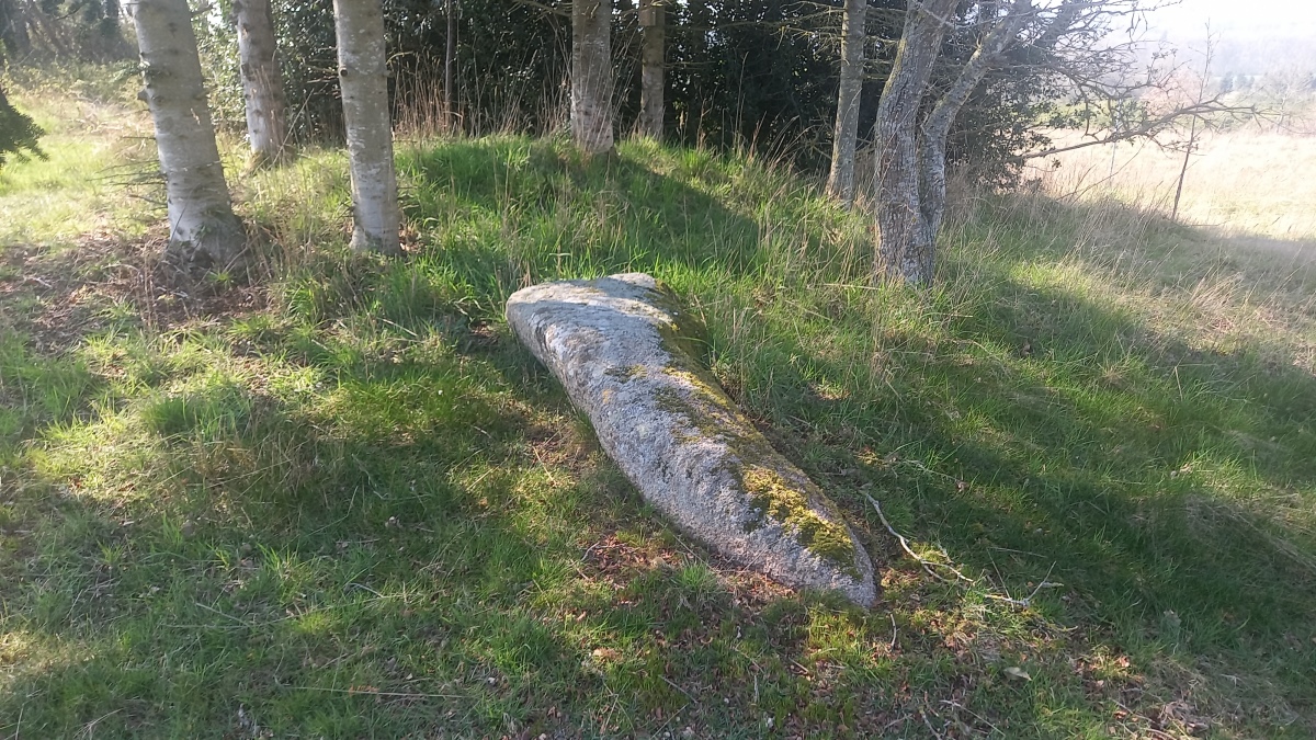 Click for the gallery page to add comments and vote (PID:288450) Sortegård Bautasten
