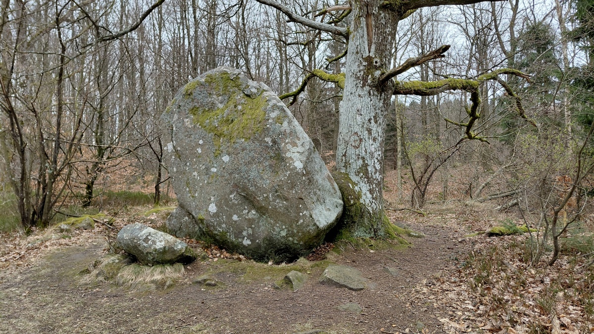 Munken Sagnsten