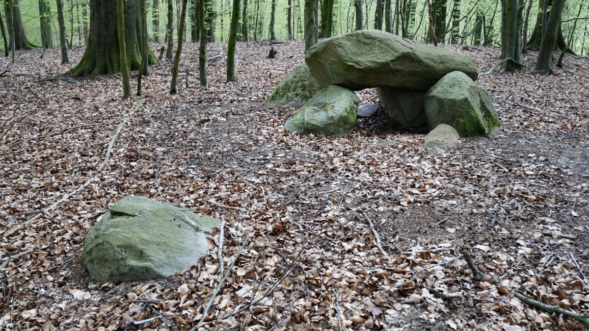 Kværs Skov Runddysse