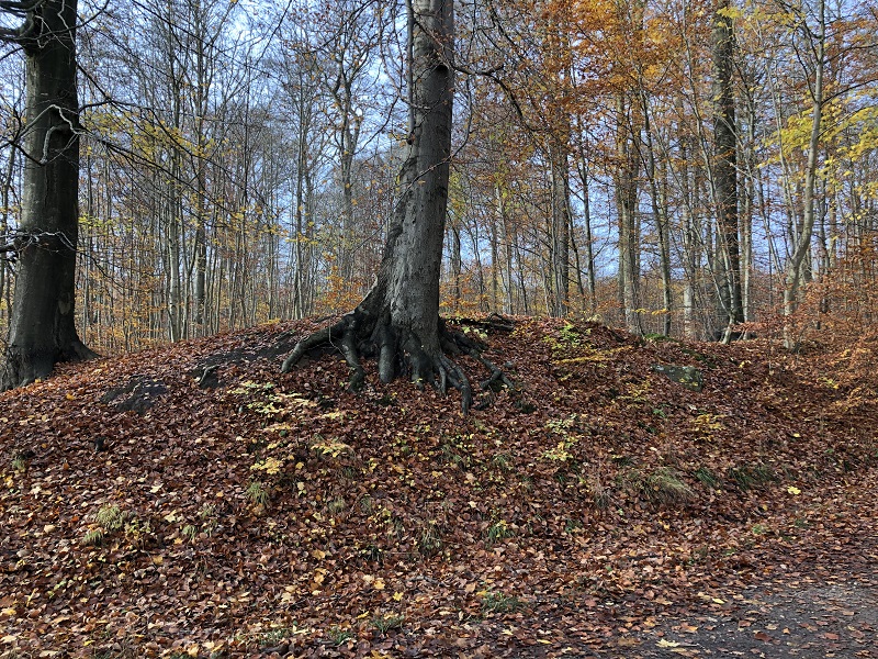Geel Skov Rundhøj
