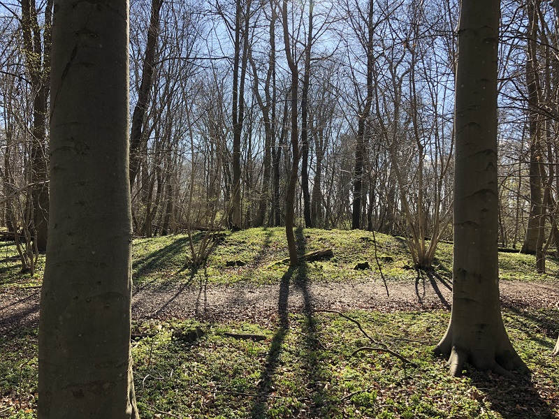 Bosrup Skov Gravhøj