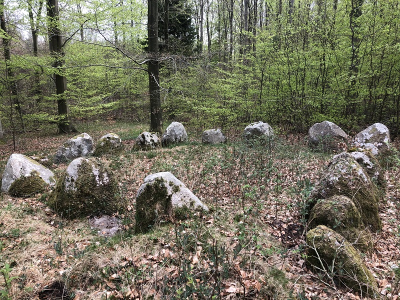 Store Bøgeskov Langdysse 4
