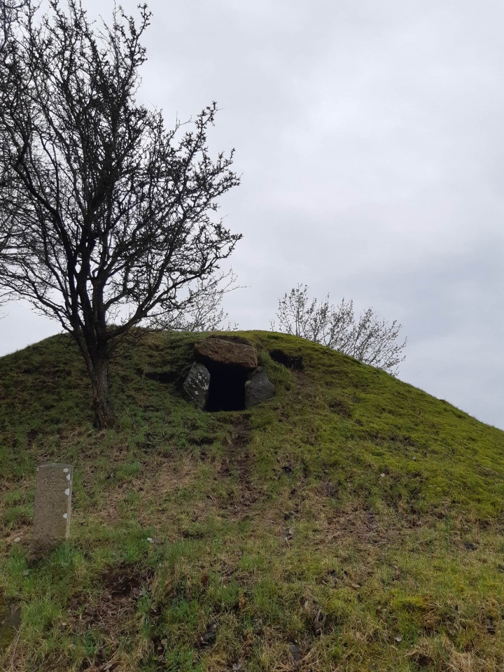 Click for full size image of Voldbjerggård Jættestue (PID:256367) Voldbjerggård Jættestue