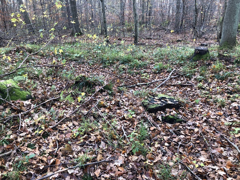 The large depression seen in the centre of the mound. 