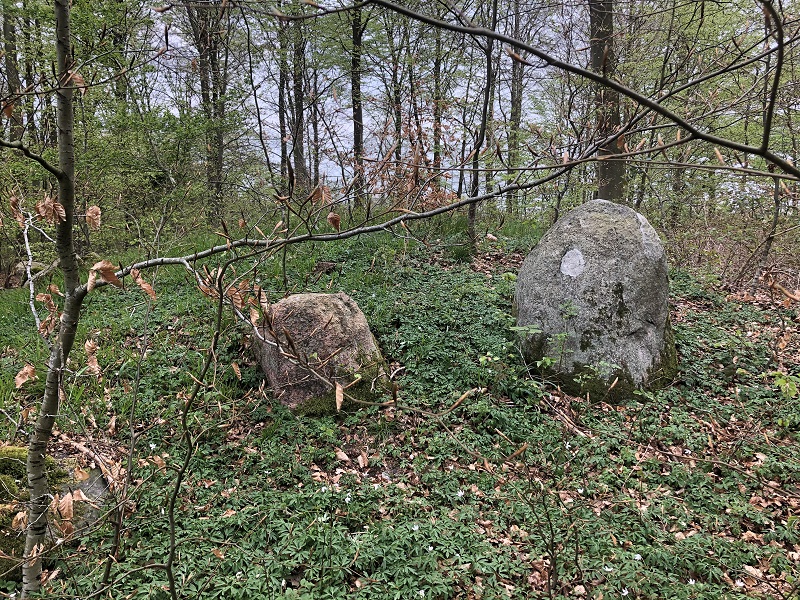 Lille Bøgeskov Langdysse