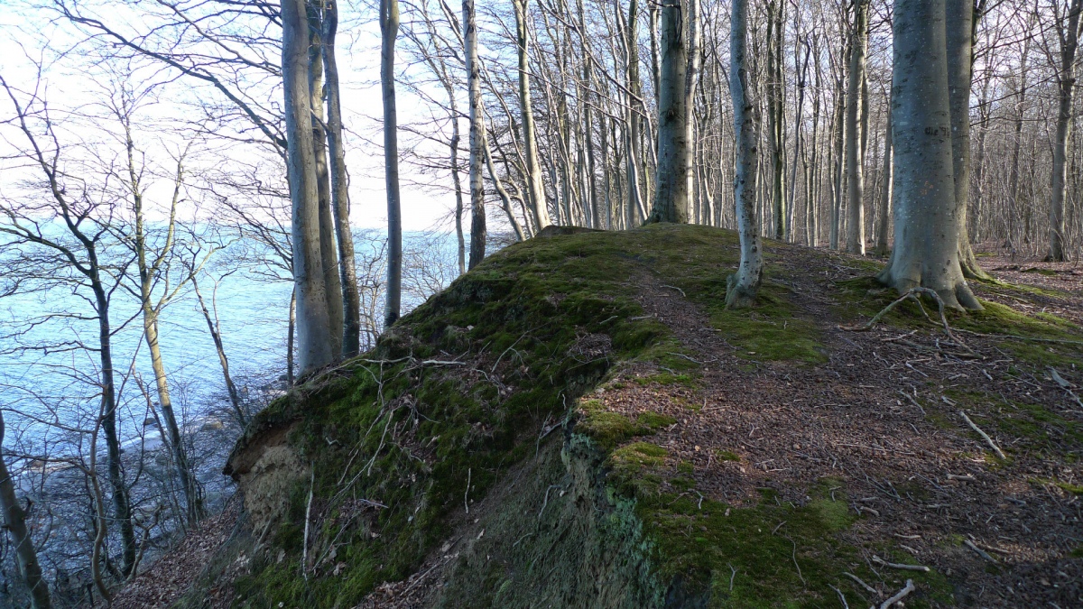 Havrekobbel Runddysse 3