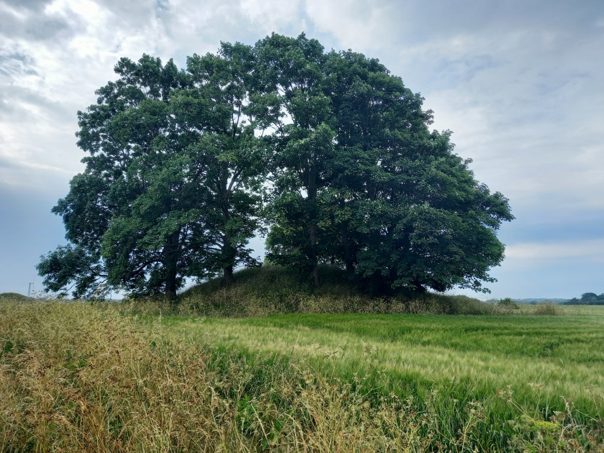Click for the gallery page to add comments and vote (PID:228677) Amagergaard Rundhøj