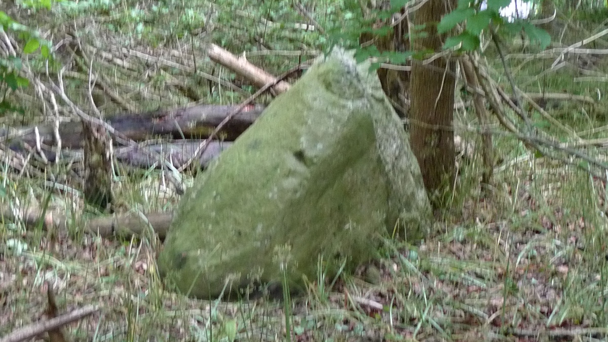 Arnkils Fredskov Afd.273 Megalitgrav