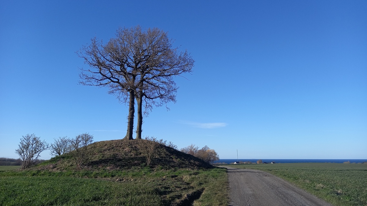 Click for the gallery page to add comments and vote (PID:240781) Bøgehøj Rundhøj