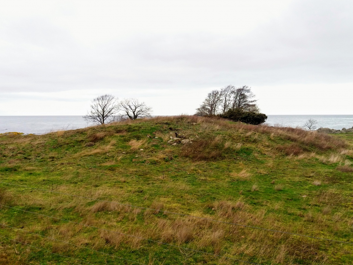 Click for the gallery page to add comments and vote (PID:207147) Bølshavn Gravrøse