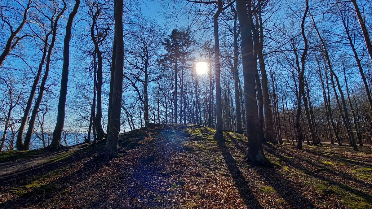 Click for the gallery page to add comments and vote (PID:238225) Bønnet Skov Rundhøj