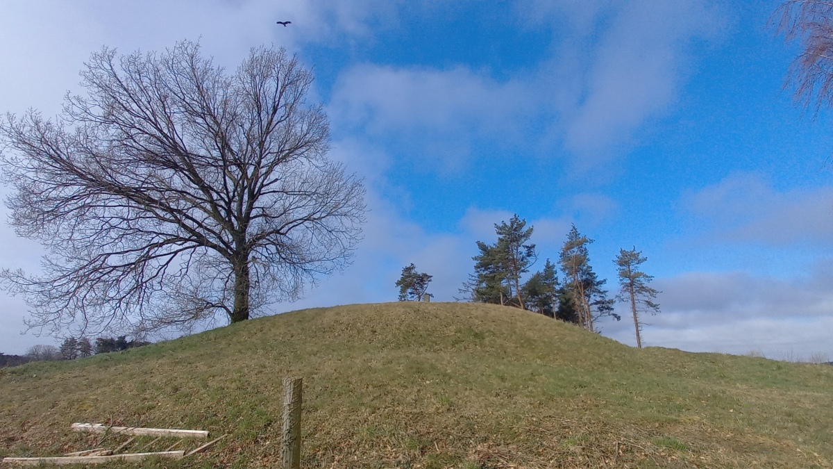 Click for the gallery page to add comments and vote (PID:256525) Baunegaard Rundhøj
