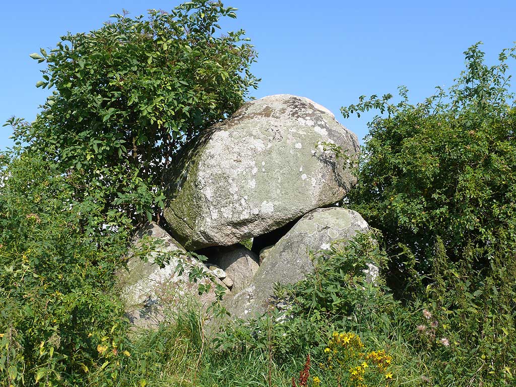 Click for the gallery page to add comments and vote (PID:80158) Bjerne Stenoldgård Runddysse