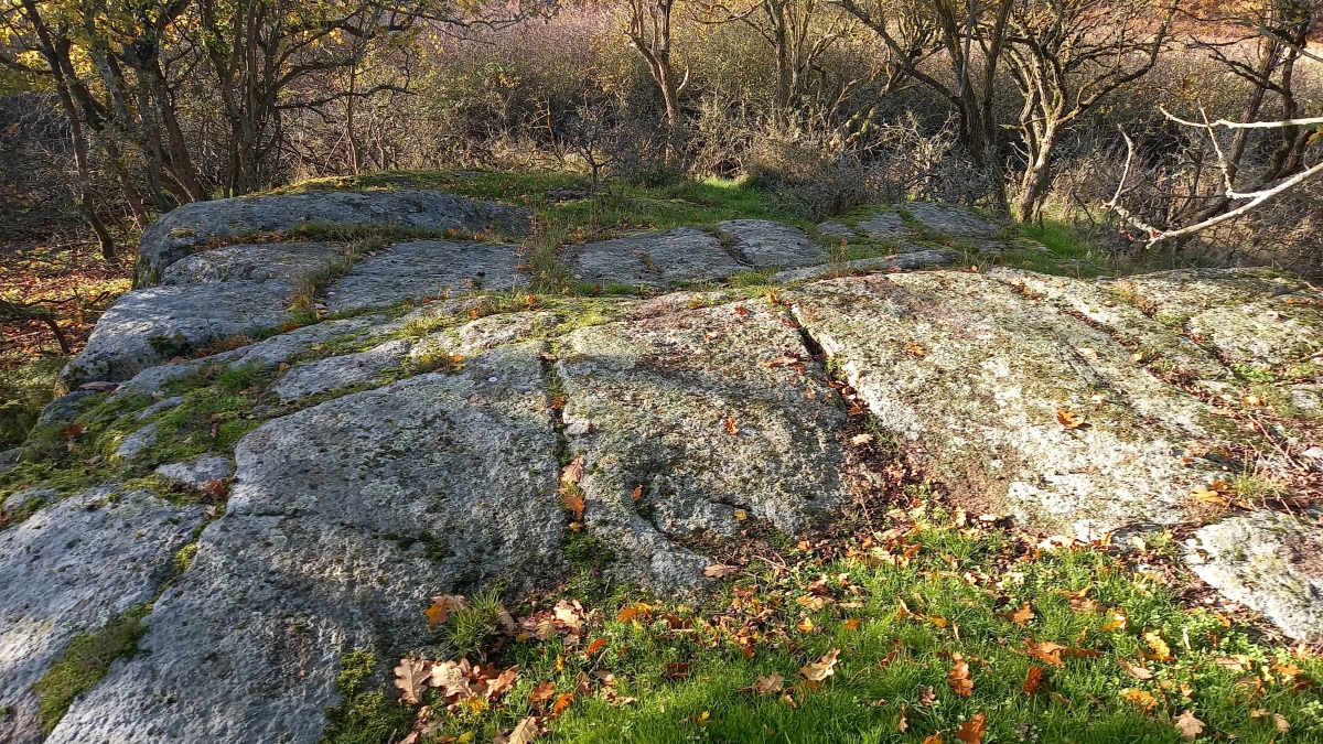 Click for the gallery page to add comments and vote (PID:250737) Blåholtsgård Skåltegn 2
