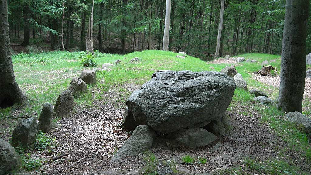 Long Barrow, parallel to 'Blommeskobbel Langdysse 1' in a distance
of only 4 m south of it. The two Long Barrows east ends are exactly
opposite to each other (ENE-WSW). Length 34 m, width of earth mound 8 m,
between the kerb-stone rows 6 m. Soil mound until 1.50 m high.
A considerable number of kerb-stones is preserved.
At the west end stands an unbroken series of stones,
but partly slightly