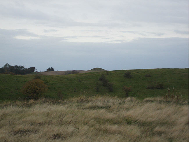 Agri Stabelhøje
