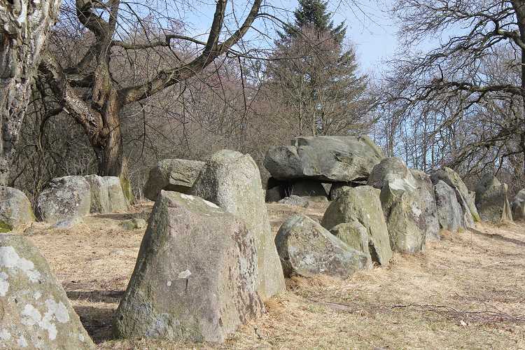 Kongedyssen Langdysse