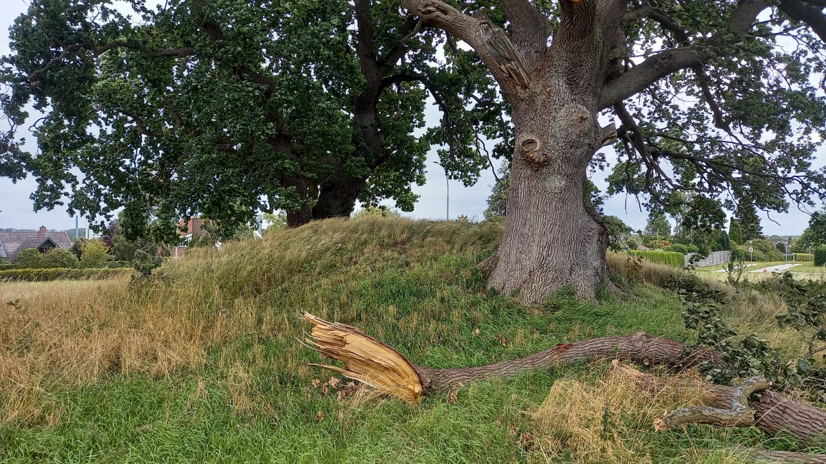 Click for the gallery page to add comments and vote (PID:262316) Gammel Køgegård Rundhøj 2