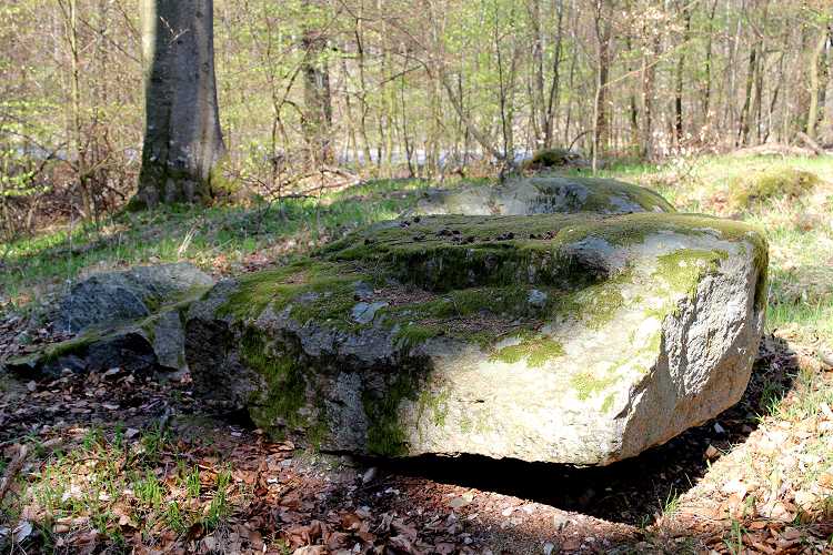Click for the gallery page to add comments and vote (PID:76273) Gribskov Megalitgrav
