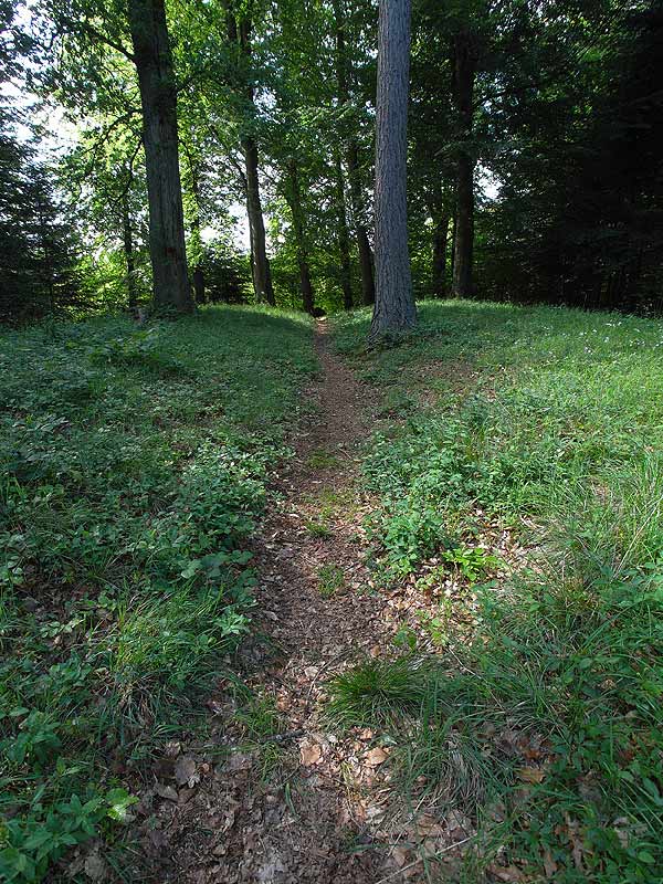 Two parallel Long Barrows - oriented N-s.
The mounds collide and are only separated by a 0.5 m wide gap.
The barrows are 1-1.5 m tall, 52-55 m long and 21-22 m wide.
Near the southern end of both large holes from lost chambers.
The entire memorial is surrounded by stones, as follows:
the north side 4 large, upright stones in addition to 7-8 smaller ones.
Eastside 5 large upright stones, plus