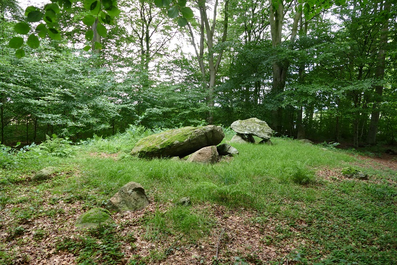 Click for the gallery page to add comments and vote (PID:156202) Gudbjerg Langdysse 3