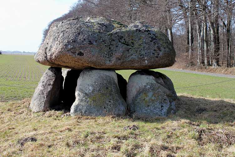 Halskov Runddysse