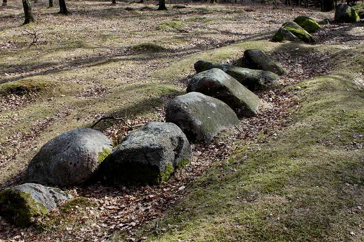 Halskov Vænge Langdysse 1