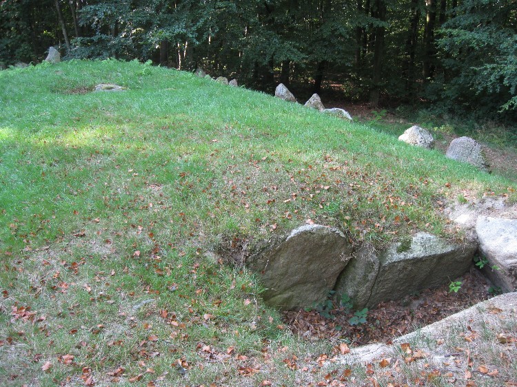 Havrekobbel Langdysse 1